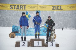 Kandersteg 2014 WM